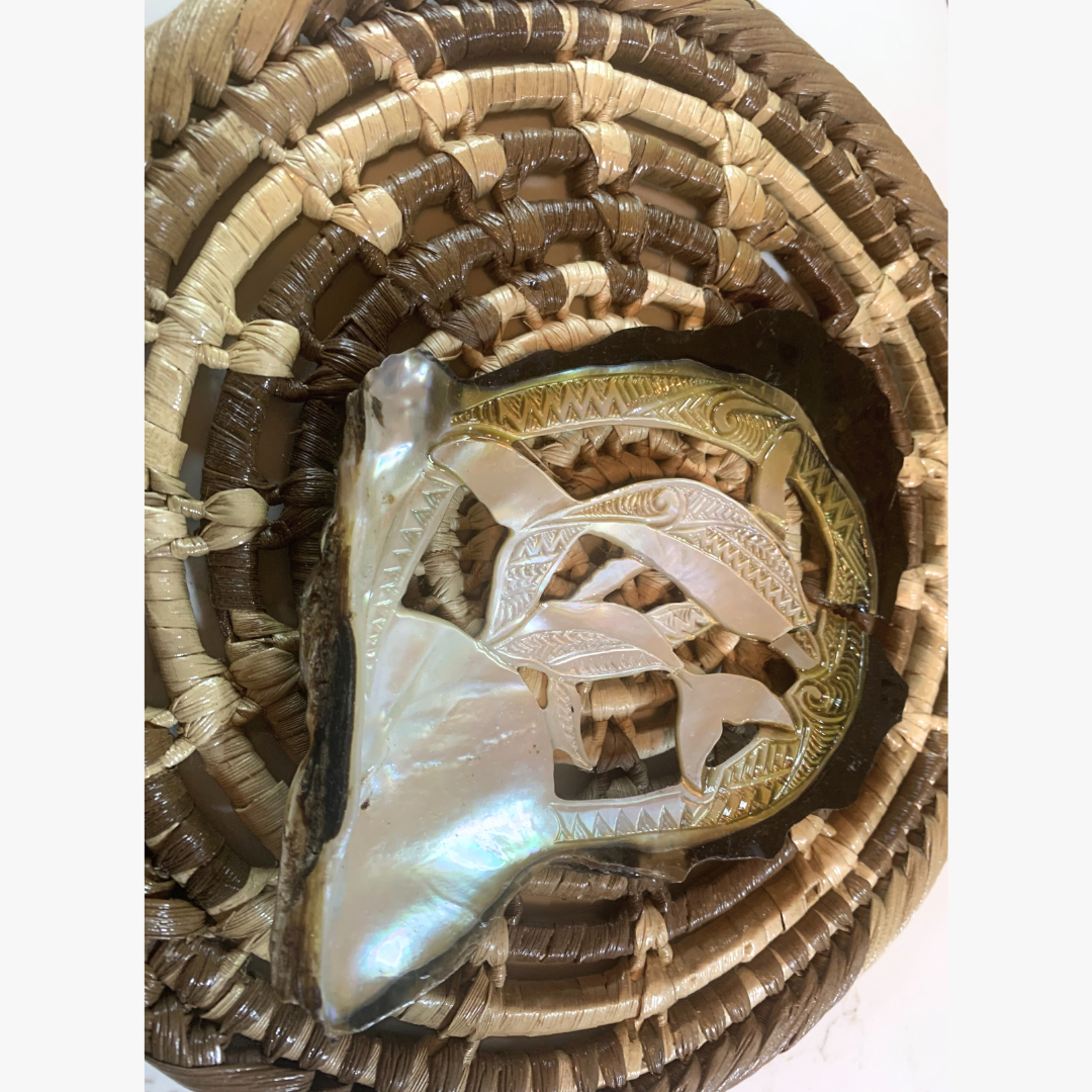 Decorative Shell Wall Art from Vava'u
