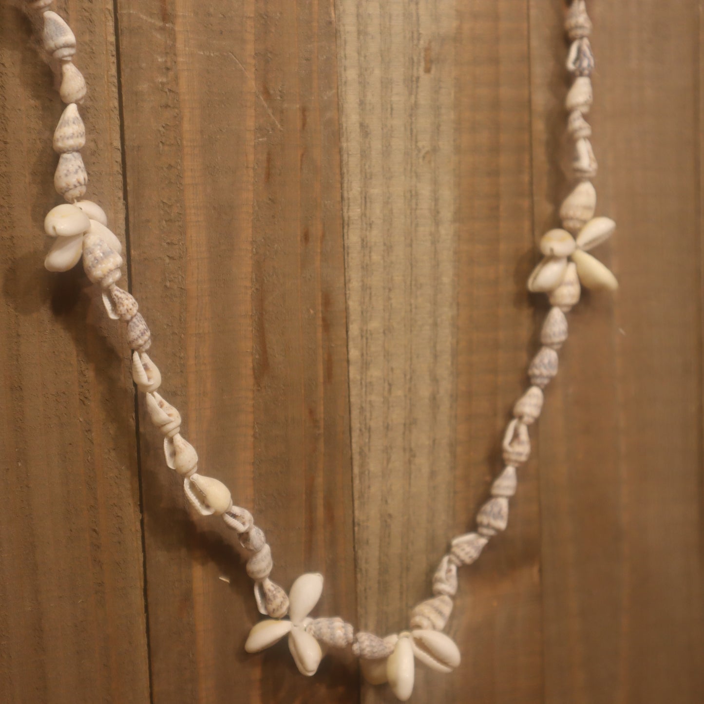 Tonga Beach Shells Necklace