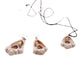 Cross-Cut Shell Necklace & Earrings